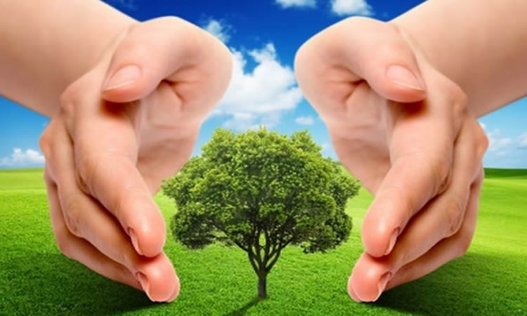 ISO 14001